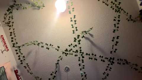 lightskinqueen888 free recording from 