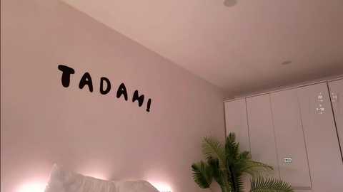 tadammary free recording from 2025-01-27 11:35:00