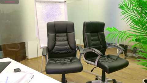 babesgowild free recording from 2025-01-28 01:37:00