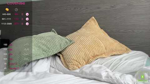 blair_fox free recording from 2025-01-28 07:30:00