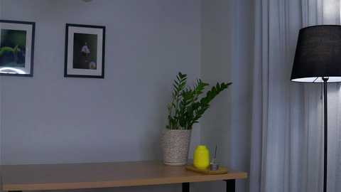 elvafoa free recording from 