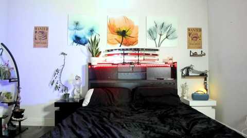 thejohnnystone free recording from 2025-01-28 01:42:00