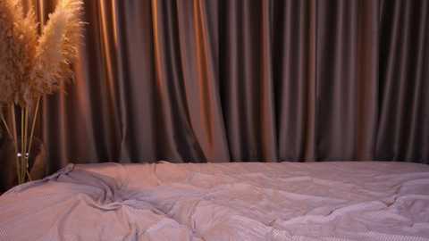 beverlebaker free recording from 2025-01-29 17:40:00