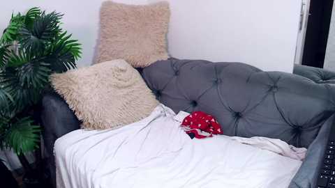 iwillfall_ free recording from 2025-01-29 04:51:00