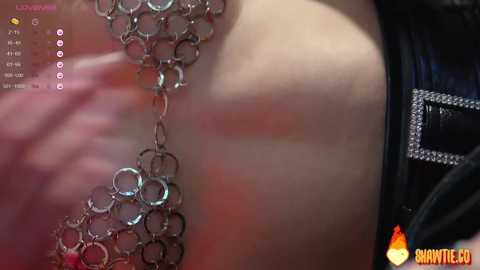 _taylor_swift free recording from 2025-01-30 07:07:00