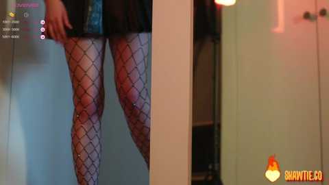 _taylor_swift free recording from 2025-01-30 09:17:00