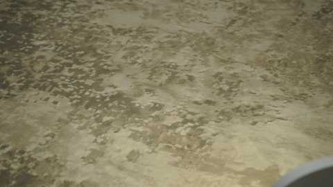 brandiloveee free recording from 