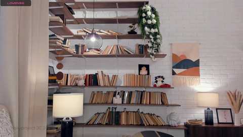 riskyproject free recording from 2025-01-30 12:26:00