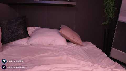 camilalovers01 free recording from 