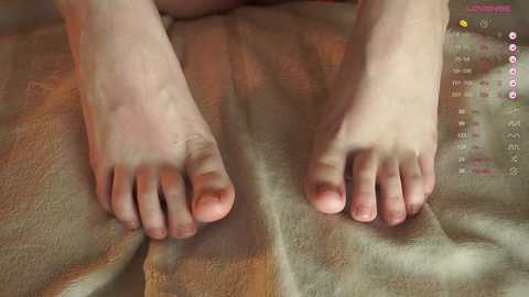 jelli_jennifer free recording from 2025-01-31 16:52:00