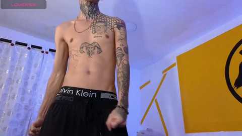 stuart_boy_ free recording from 2025-01-31 16:13:00