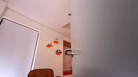 vixenp free recording from 2025-01-31 21:43:00