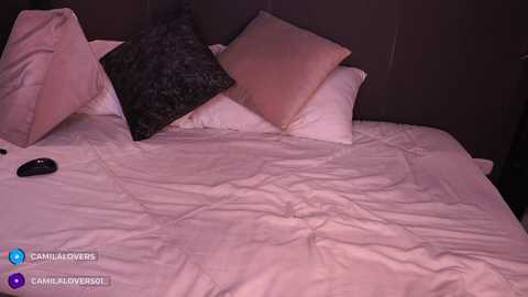 camilalovers01 free recording from 2025-02-01 03:05:00