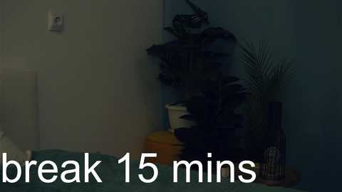 coventinaashfield free recording from 2025-02-01 13:24:00