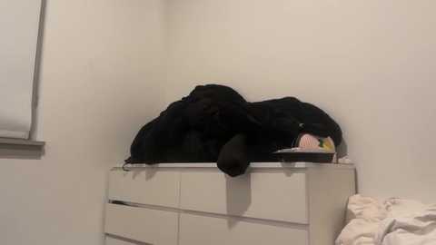 laylamoore3 free recording from 2025-02-01 03:17:00