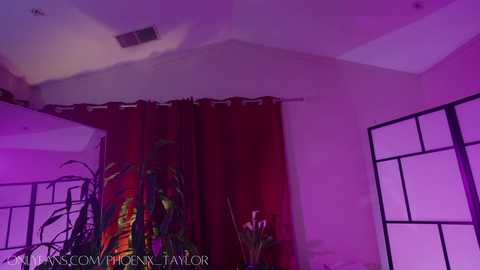 phoenix_taylor free recording from 2025-02-01 04:15:00