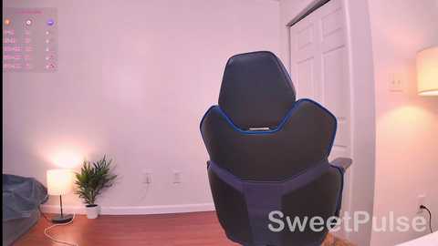 sweetpulse_ free recording from 2025-02-01 22:32:00