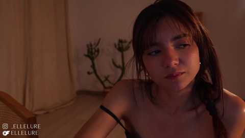 ellelure_ free recording from 2025-02-02 03:18:00