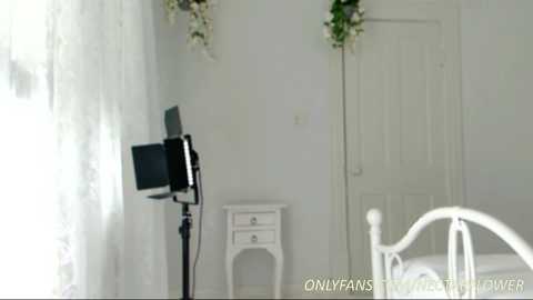 littlegreekflower free recording from 2025-02-02 19:03:00