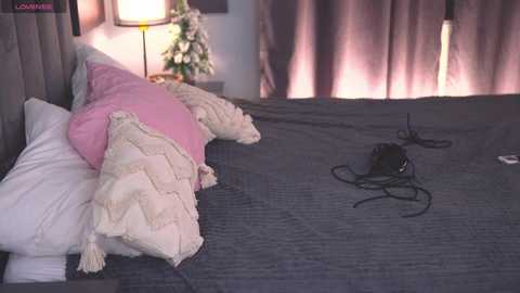 telladreamer_ free recording from 2025-02-02 12:54:00