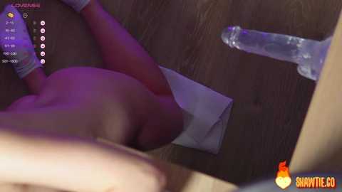 _taylor_swift free recording from 2025-02-03 09:14:00