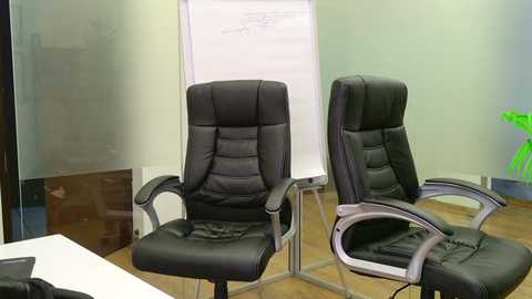 babesgowild free recording from 2025-02-03 01:00:00