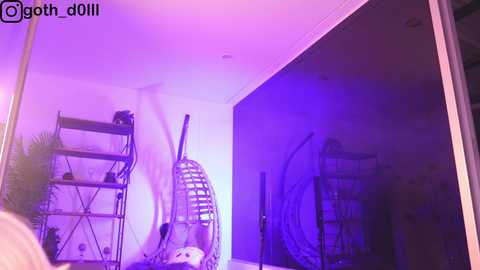 goth_dolll free recording from 2025-02-03 00:44:00