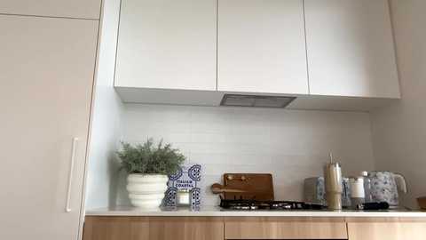 mishapalmer free recording from 2025-02-03 05:35:00