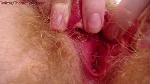 molly_redhead free recording from 2025-02-03 05:41:00