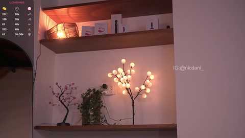 nicdani_1 free recording from 2025-02-03 08:17:00