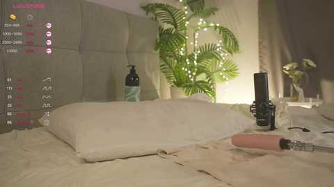 olsenspring free recording from 2025-02-03 18:30:00