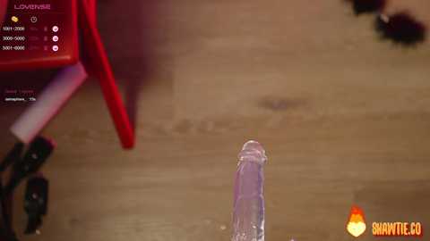 _taylor_swift free recording from 2025-02-04 11:43:00