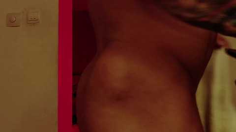 adonis_msc free recording from 2025-02-04 04:58:00