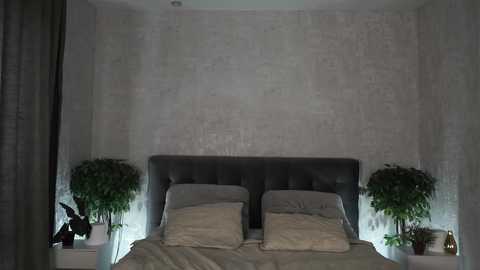 phyllisaston free recording from 