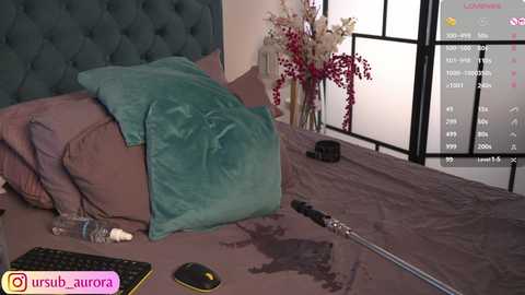 shiny_lily free recording from 2025-02-04 04:47:00