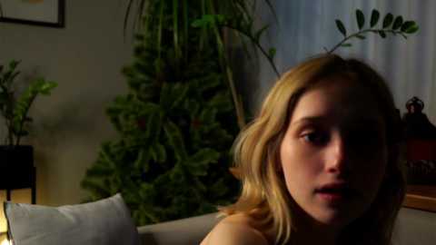 taitehambelton free recording from 