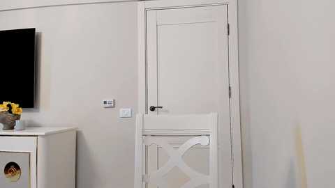 devyale free recording from 2025-02-05 11:05:00