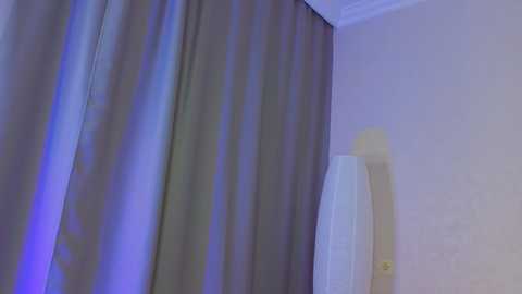 goalice free recording from 2025-02-05 16:06:00