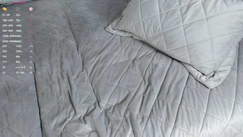 lornaelin free recording from 2025-02-05 14:18:00