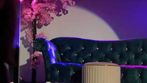 _meganmeow_ free recording from 2025-02-06 06:37:00