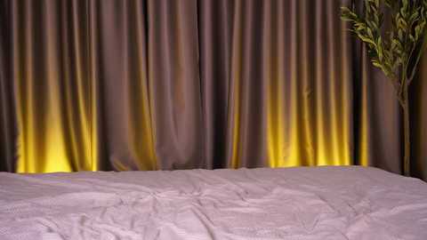 beverlebaker free recording from 