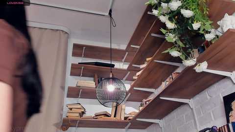 riskyproject free recording from 2025-02-06 13:14:00