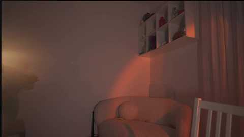 _protea free recording from 2025-02-07 03:23:00