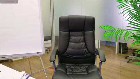 babesgowild free recording from 2025-02-07 08:49:00