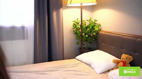 bellacle free recording from 