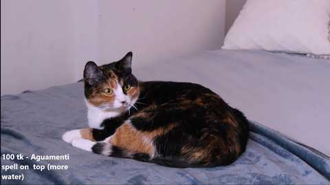 harley_blanco free recording from 2025-02-07 20:09:00