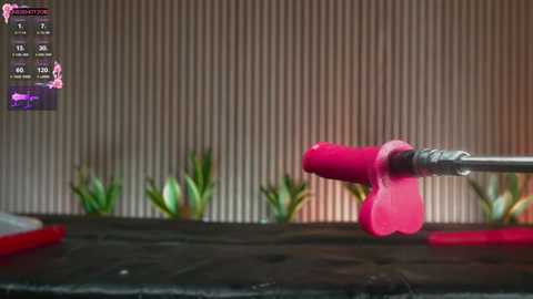 nicehotjob free recording from 2025-02-07 21:15:00