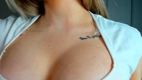 sara_fest free recording from 