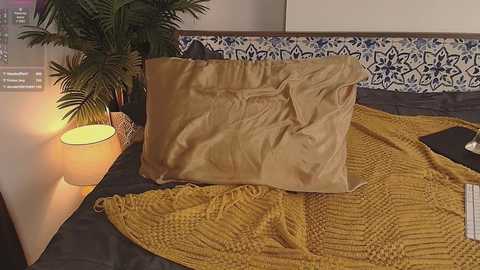 alice_n_wooderland free recording from 2025-02-08 06:56:00