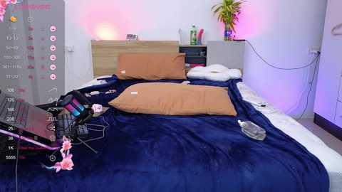 i_see_aysi free recording from 